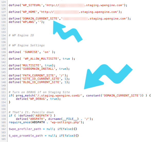 WP Engine wp-config-php Conditionals